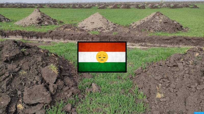 ThePost.hu kép